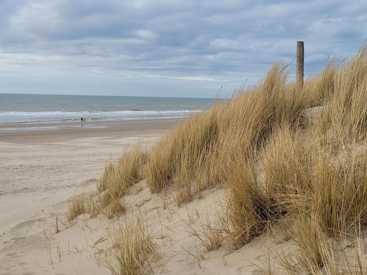 Tiny Villa De Haas Met Infraroodsauna Egmond aan Zee Luaran gambar